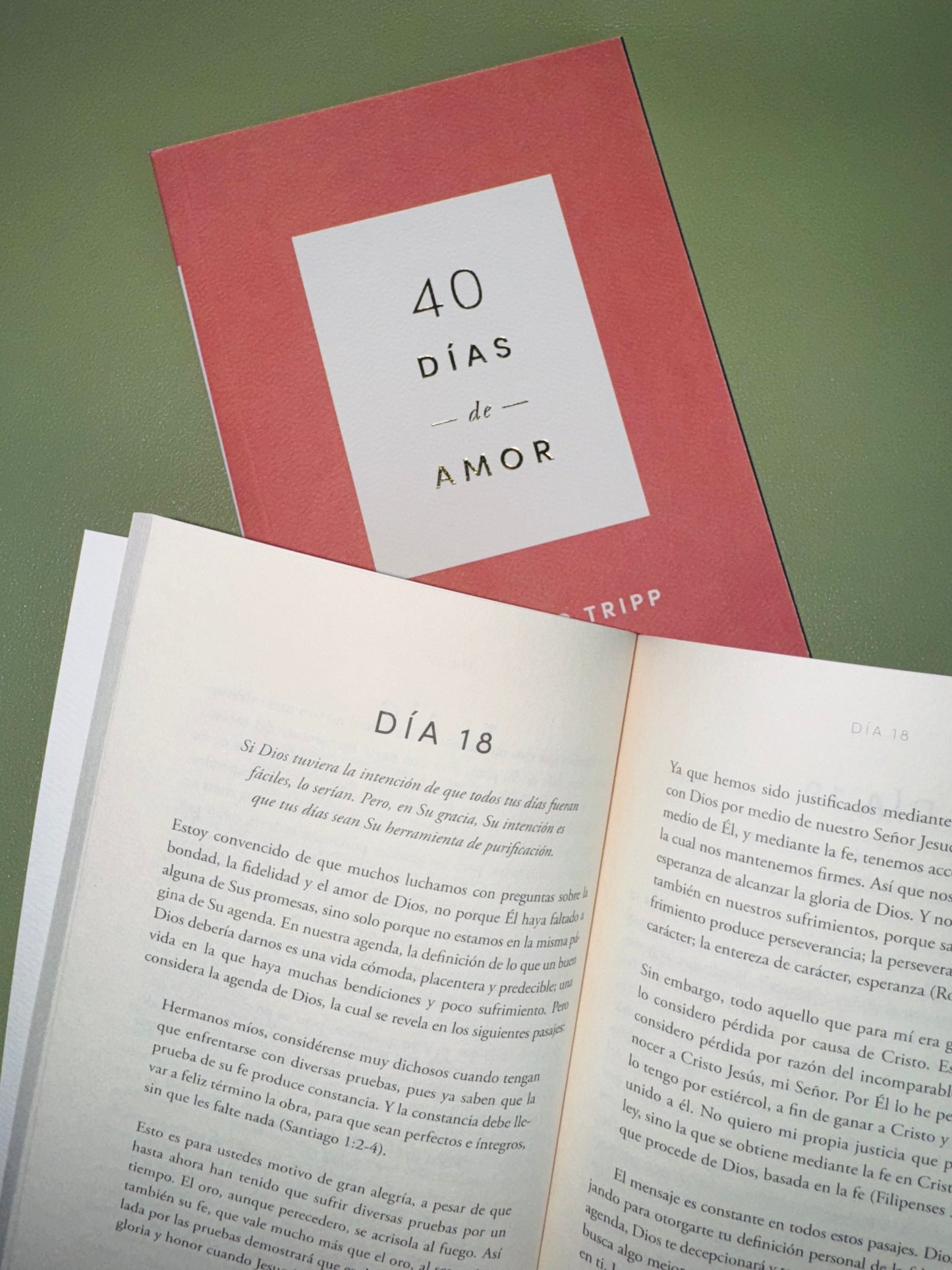 40 Días de Amor