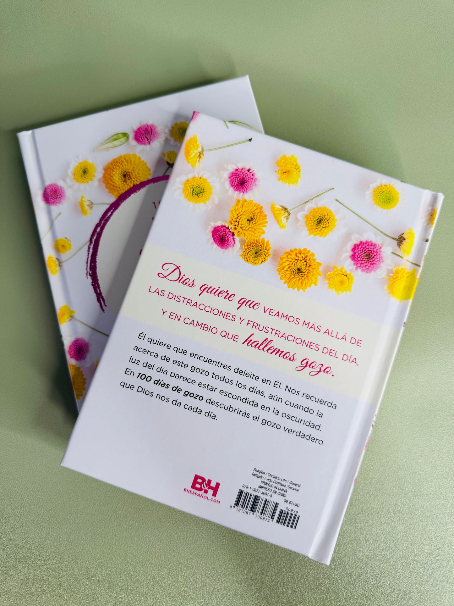 100 Días de Gozo para llevar una sonrisa a tu cara