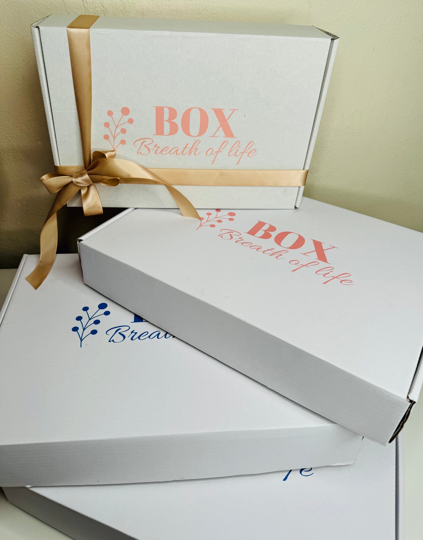 Box Sorpresa
