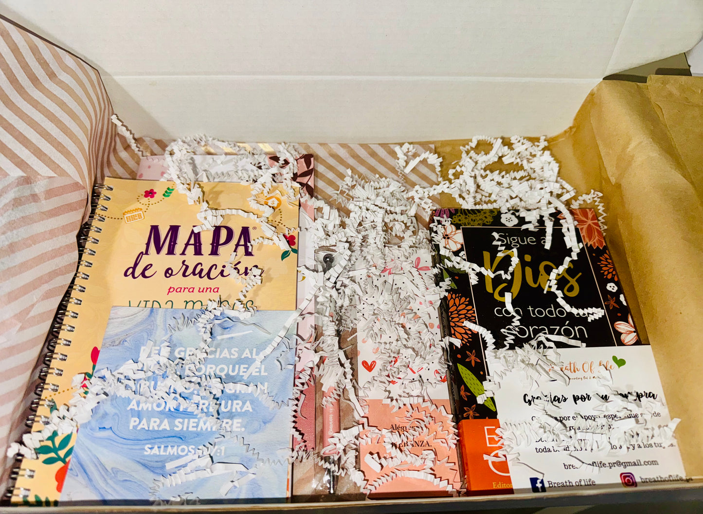 Box de Oración
